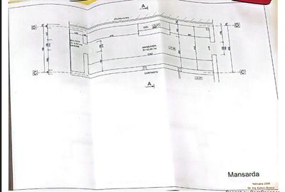 Casa in Calea Aradului pretabilă activități economice - 37