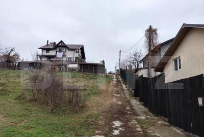 Teren intravilan 2618 mp IASI- Strugurilor - 3