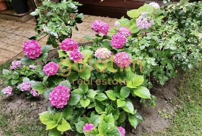 IANCU NICOLAE/ GRADINA SUPERBA/LOCURI DE PARCARE/SPATII GENEROASE - 49