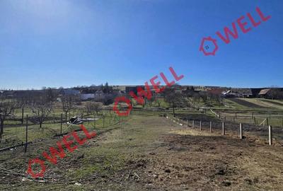 Casă cu 3 camere în Sânpaul - 14