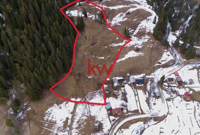 Teren Intravilan 11.844 MP, Breaza, Jud. Suceava - 2