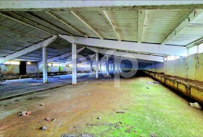 Spațiu industrial, de 2,000 mp, în Râșnov - 6