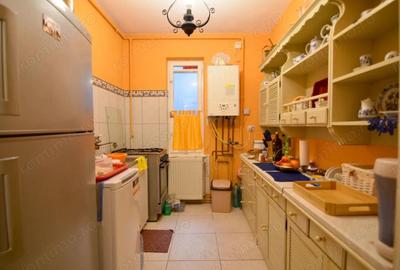 Apartament 3 camere-Balcescu Timisoara - 8