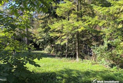 Casa veche, 3 camere, 978 m.p. teren, Grigorescu, locatie de vis - 13