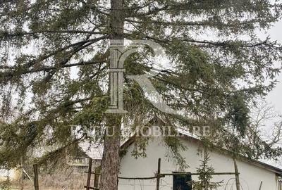 Casă cu 4 camere în Santăul Mare - 10
