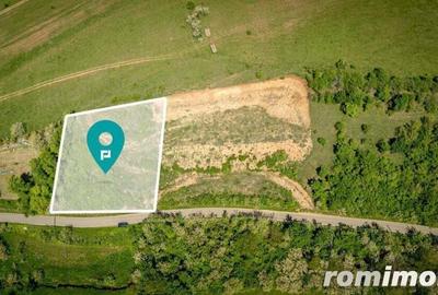 Teren extravilan in vecinatatea Manastirii Feredeu - 1