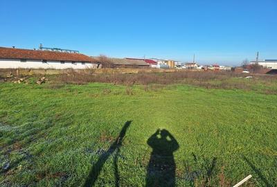 Teren de 6285 mp, în Tărian - 4