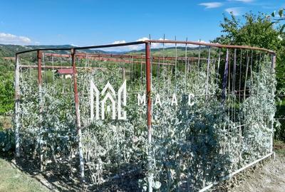 Casa individuala | 4 camere | Teren 2000 MP | Seica Mare - 4