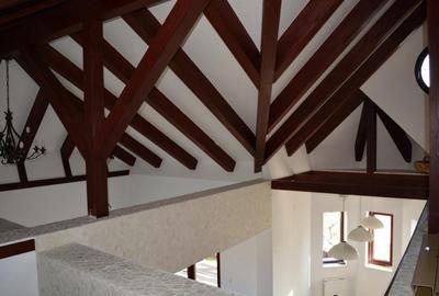 OPORTUNITATE VILA POIANA CAMPINA - 6