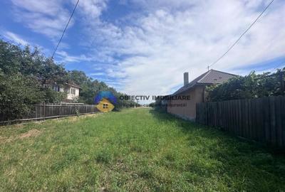 Teren intravilan de vanzare 1.688 mp, Dumbrava Ro?ie - 3