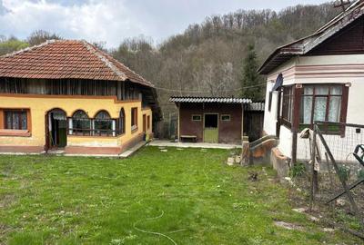 Casă cu 4 camere în Priboaia - 1