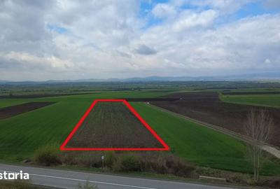 Teren de 5000 mp, în Ozun - 8