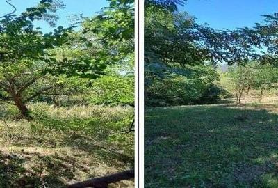 Teren Buciumeni, ID: R2431873 Teren Buciumeni, ID: R2431873 - 1