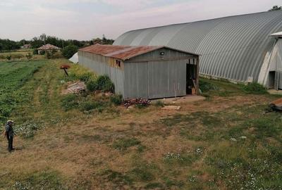 Teren în Ciochina - 1