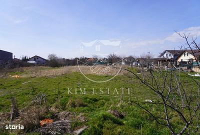 Spațiu comercial, în Lumina