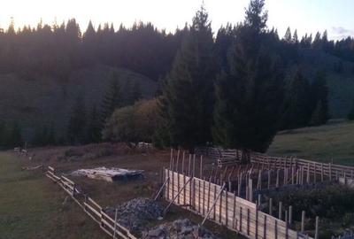 Spațiu comercial, în Central - 2