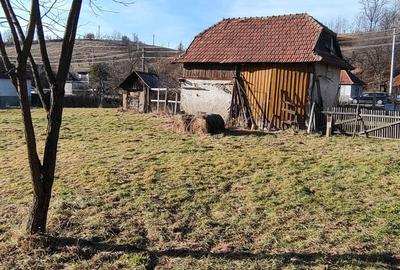 Casă în Ciucea - 4