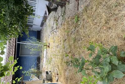 Casă cu 3 camere în Alexeni - 5