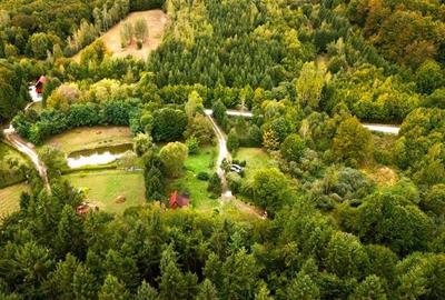 Casă individuală cu 4 camere cu Teren 2100 Mp în Exterior Est - 5