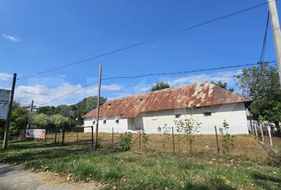 Constructie tip hala, 240 mp utili, teren 1000 mp, Brabova D - 2