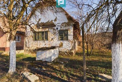 Casă cu 2 camere cu Teren 2334 Mp în Tauț - 3