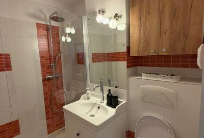 Apartament cu 3 camere semidecomandat, mobilat în Dristor - 13