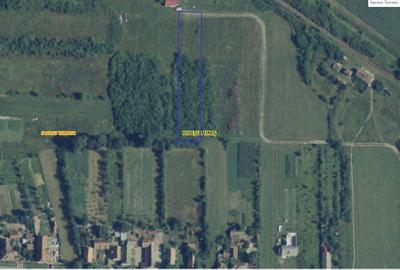 Teren agricol extravilan de 2500 mp, în Uliuc - 4