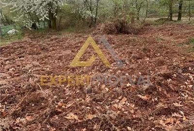 Teren de 1000 mp, în Groși - 2