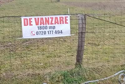 Teren de 1800 mp, în Căinelu de Sus - 3