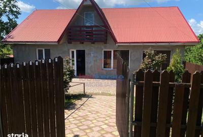Casă cu 2 camere cu Teren 4000 Mp în Mădârjac - 4