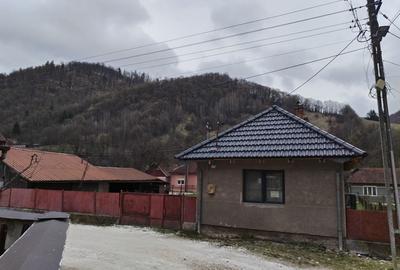 Casă cu 2 camere în Rusca - 8