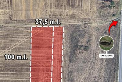 Teren de 3750 mp, în Brănești