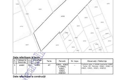 Teren de 5000 mp, în Mogoșoaia