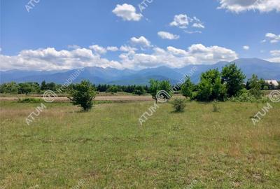 Teren intravilan 5000 mp pe Valea Avrigului, Sibiu - 1