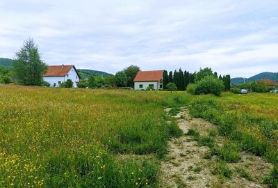 2335 mp TEREN INTRAVILAN, Negreni – Cluj, la 100 m de E60 Cluj – Oradea - 12
