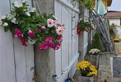 Casa-Vila Dragomiresti Vale-Centura Bucuresti- zero comision - 3