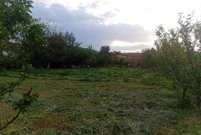 Casă cu 2 camere cu Teren 1400 Mp în Nădășelu
