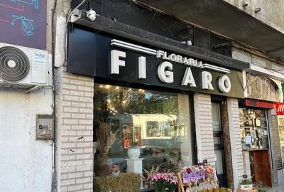 Spațiu comercial, de 36 mp, în Pache Protopopescu - 2