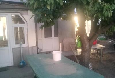 Casă cu 4 camere în Movileni - 8