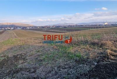 Spațiu comercial, în Bărăbanț