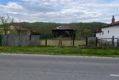 Teren Construcții intravilan de 1550 mp, în Coțofenești - 2