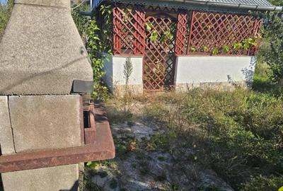 Casa de vanzare in Dumbrava Bacau cu 1100 mp - 4