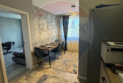 Apartament cu 2 camere de vanzare in zona Calea Severinului - 16