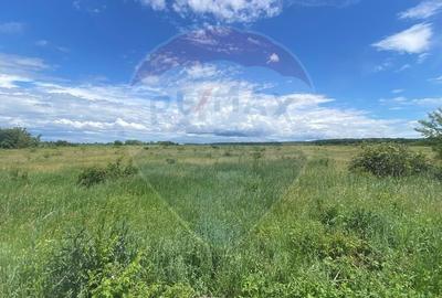 DE VANZARE Teren 5,000mp Sisesti Drumul Piscul Mosului - 4