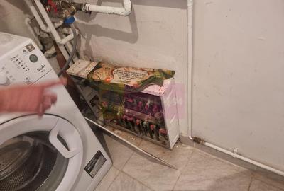 Casă cu 5 camere cu Teren 2875 Mp în Sadina - 11