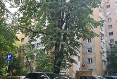 Închiriere apartament 3 camere - 13