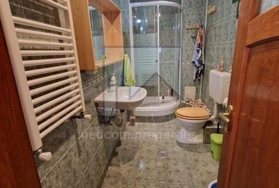 Vanzare apartament 3 camere (E1+M) in Vila (S+P+E1+M) - Teiul Doamnei - 7