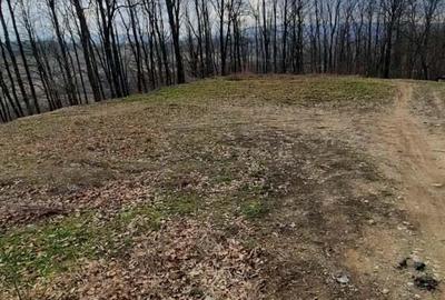 Teren de vanzare C.Caransebesului km 5 - 3