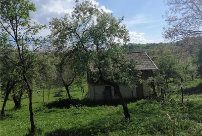 Teren de 5265 mp, în Teișani - 2