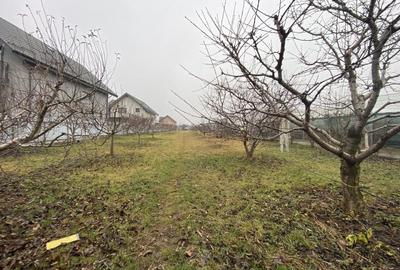 Proprietate impresionanta:Rezidential/Birouri: 2 vile,teren 1350mp,1 Mai - 19